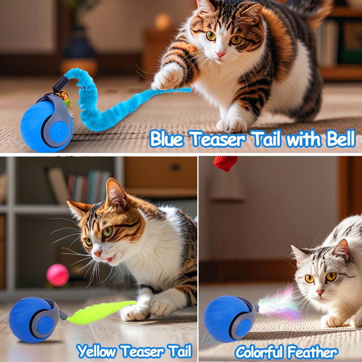 Modo inteligente de la bola Gato Mity Rain para juego sostenido.