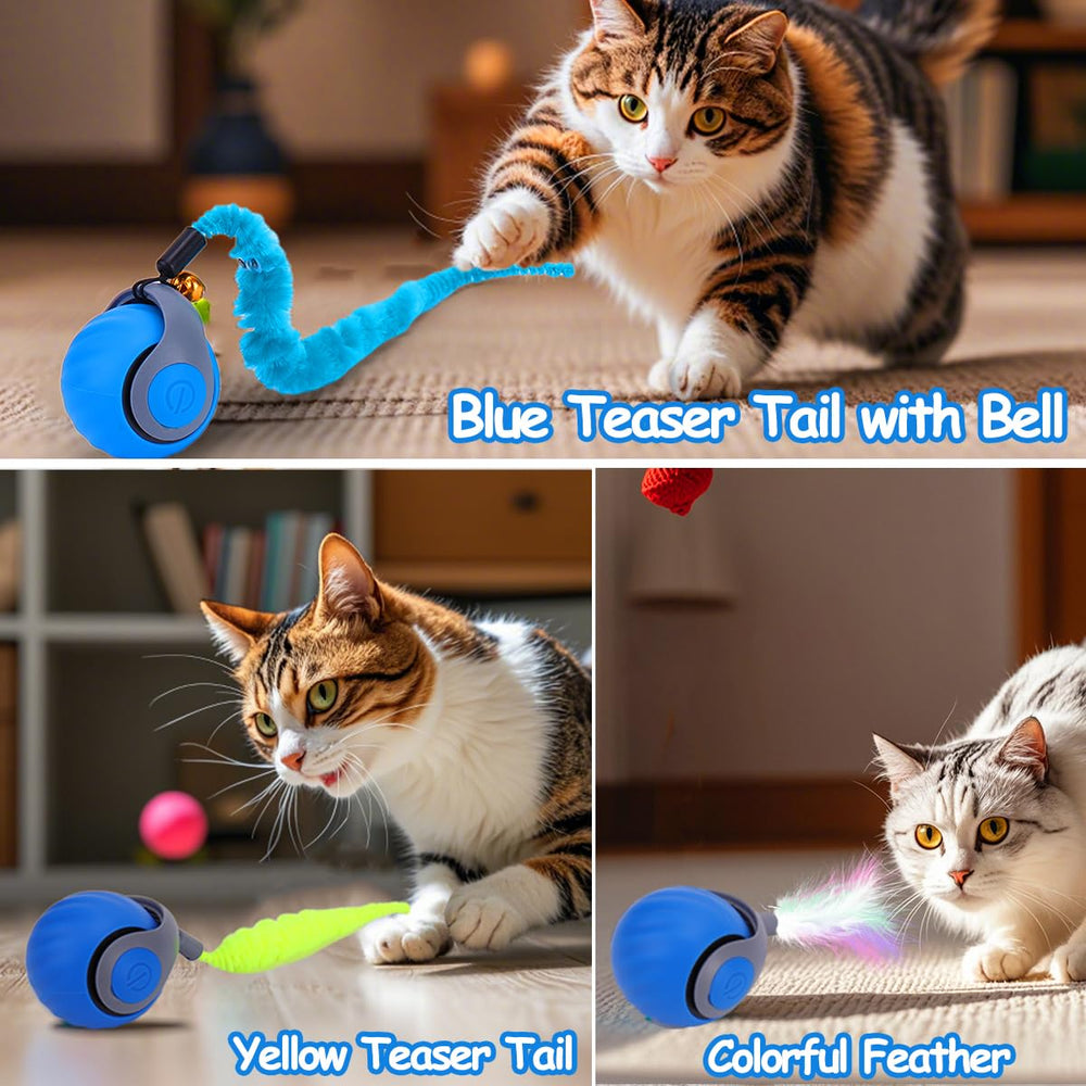 Modo inteligente de la bola Gato Mity Rain para juego sostenido.