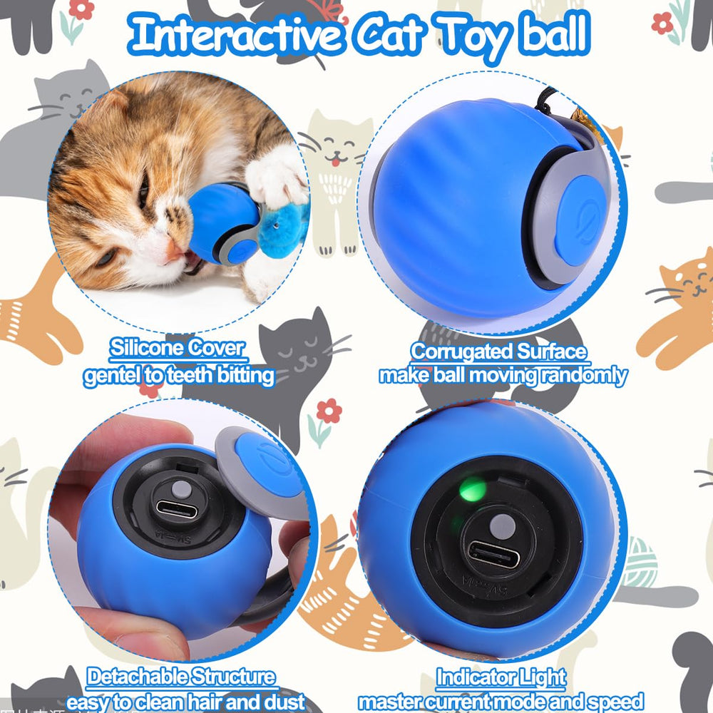 Juego en interiores con la bola de Mity Rain para gatos curiosos.