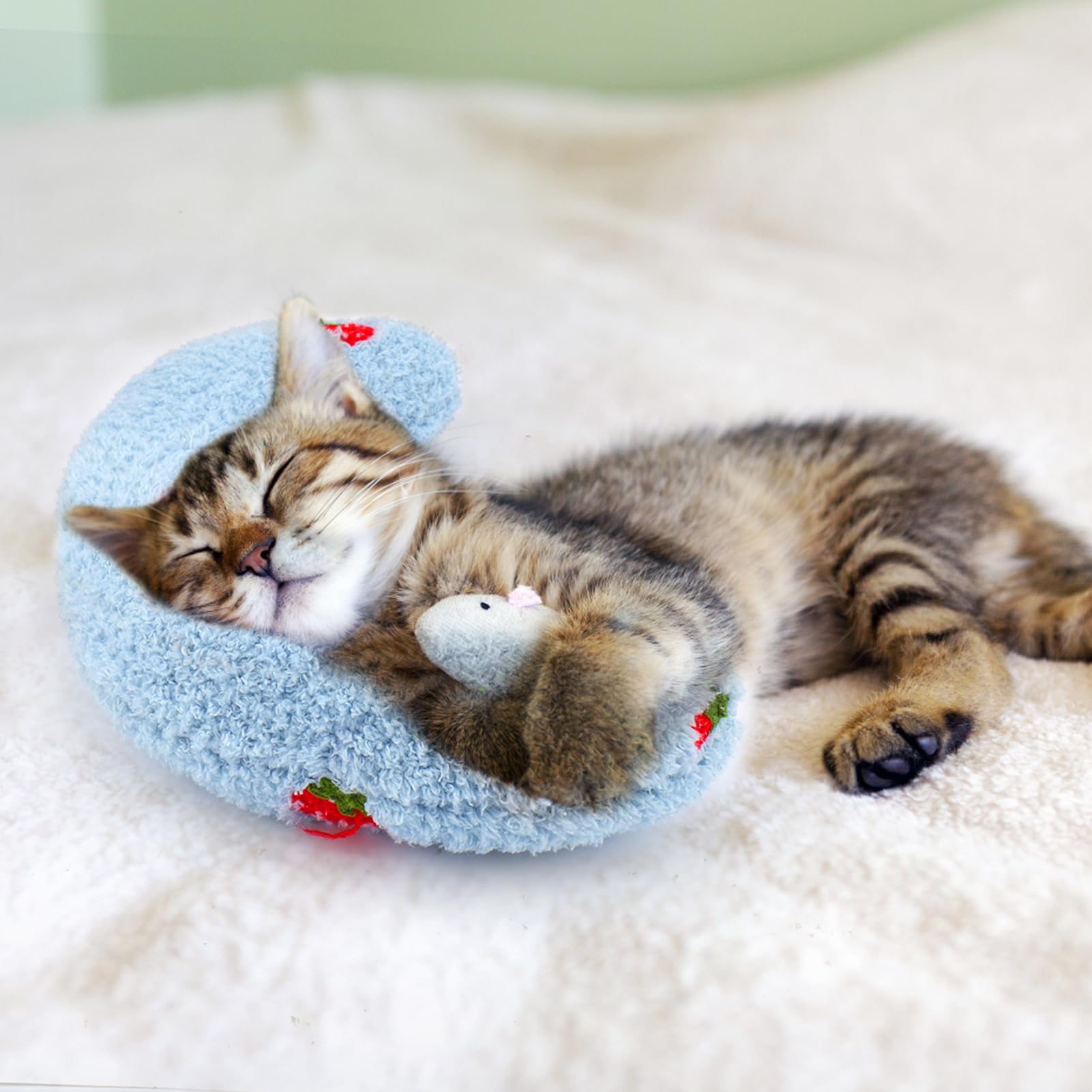 Uso en casa: refugio suave para tu mascota al dormir.