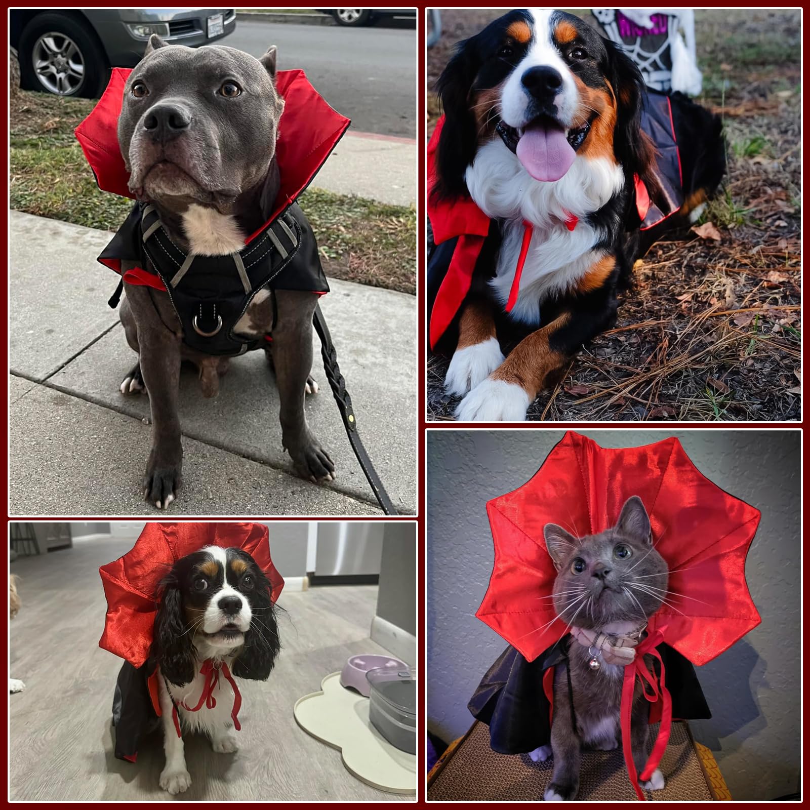 Miucat disfraz vampiro para perros, diseño práctico para vestir en segundos.
