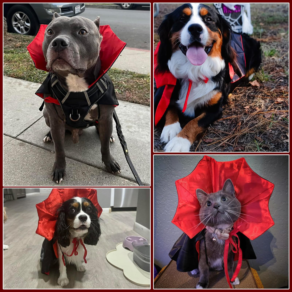 Miucat disfraz vampiro para perros, diseño práctico para vestir en segundos.
