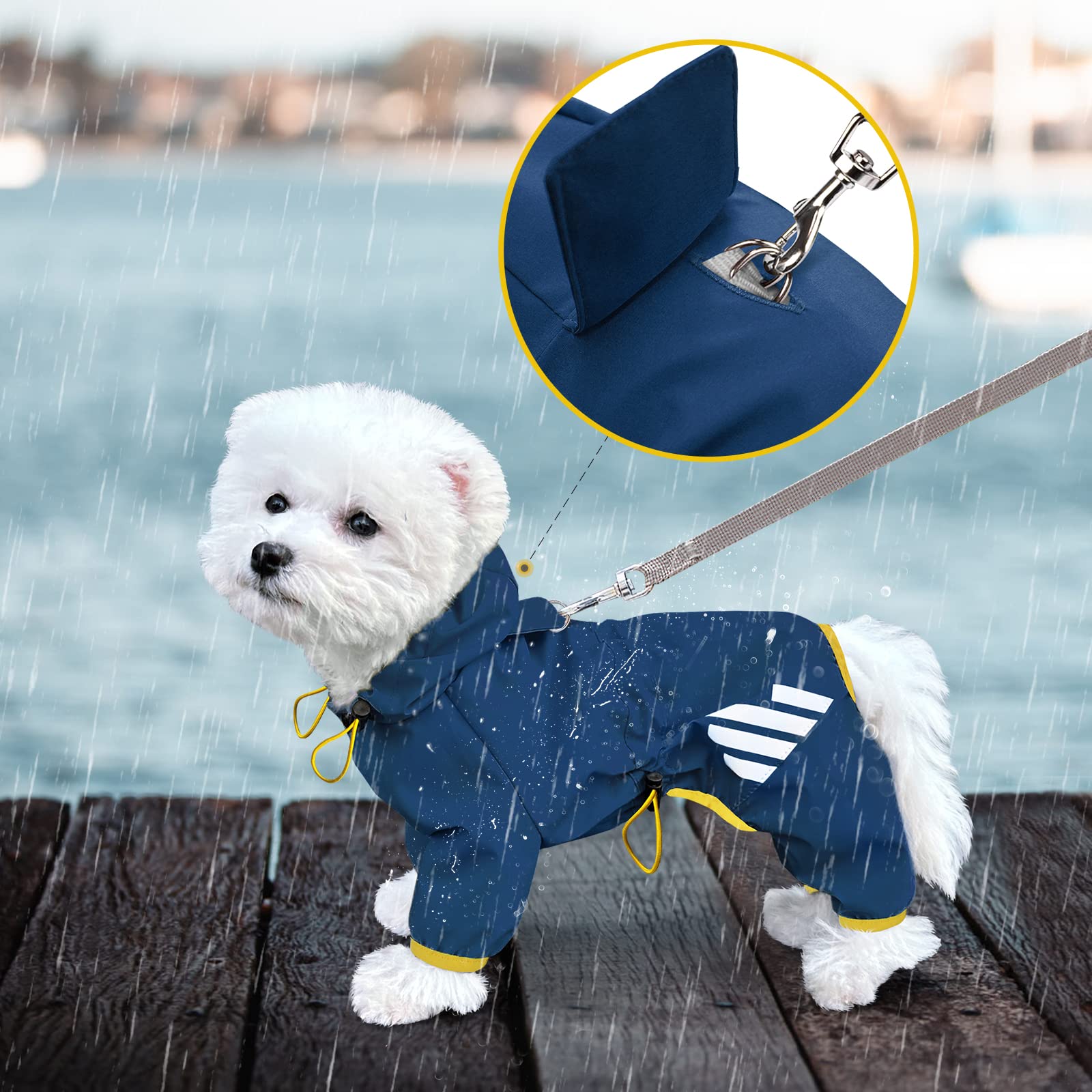 Miucat talla adecuada para perros pequeños y medianos.