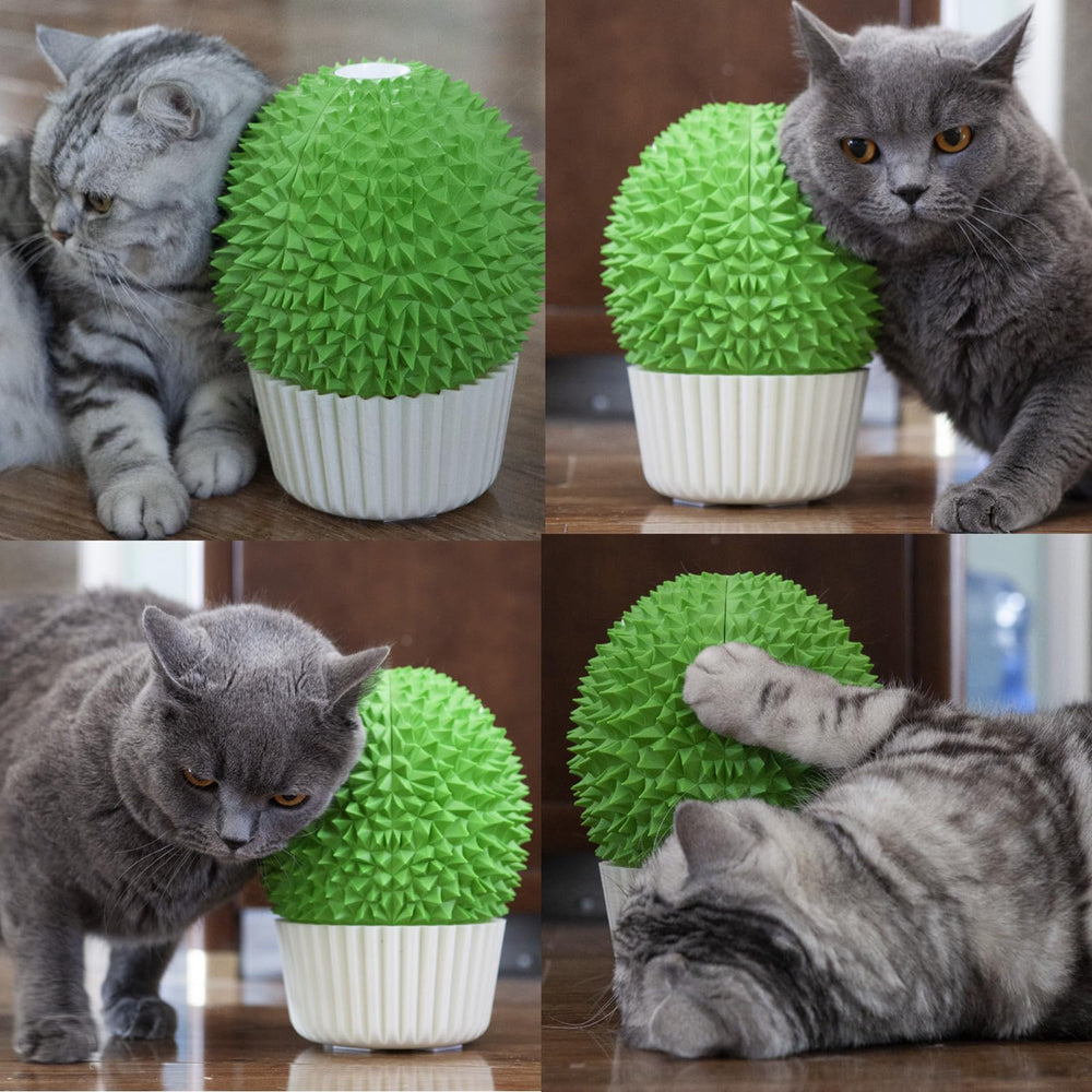Miwoowim cepillos-suaves-masaje-gato-verde: grooming seguro para piel sensible.