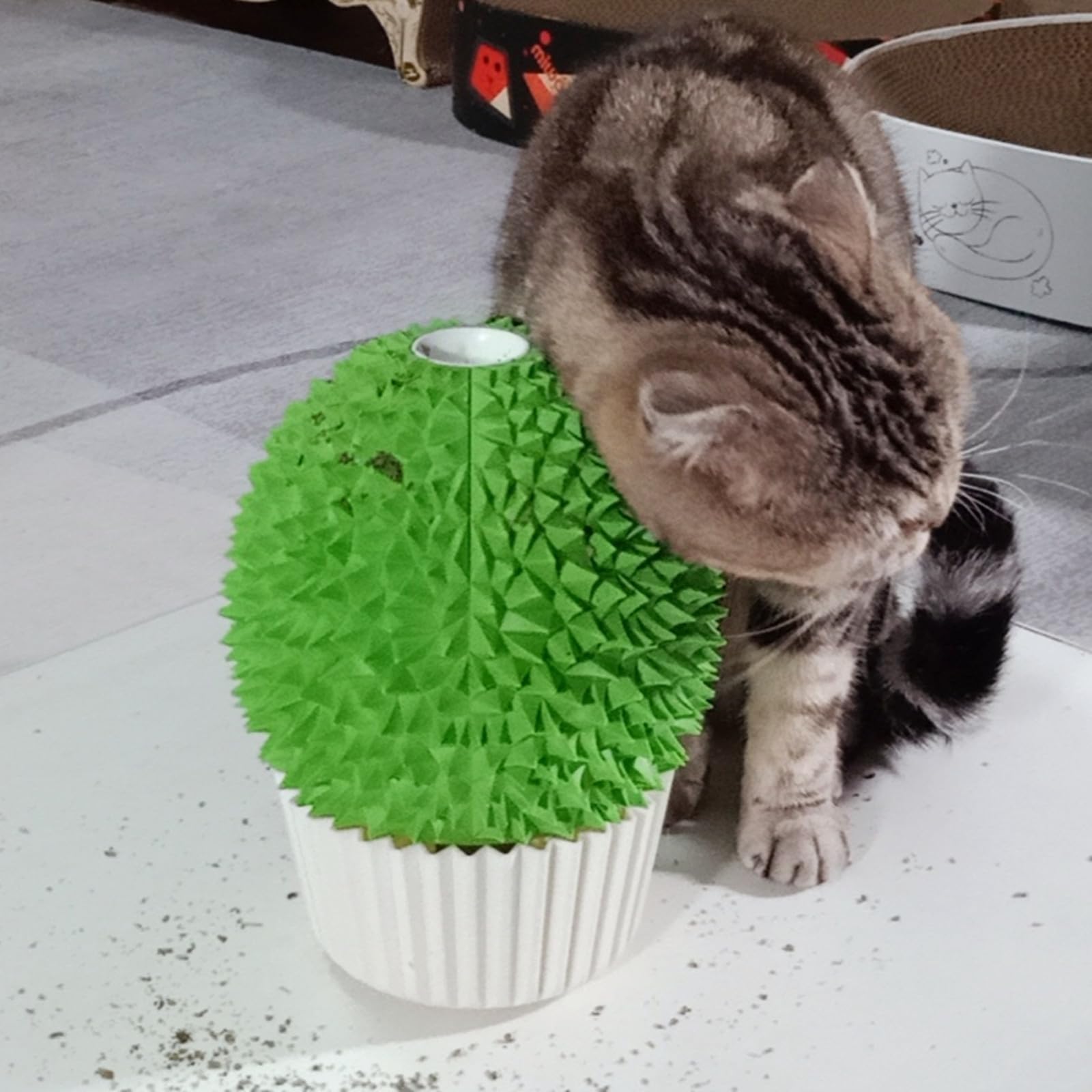Miwoowim mordedor-gato-pared-verde forma-durian: masaje suave en esquina para gatos.