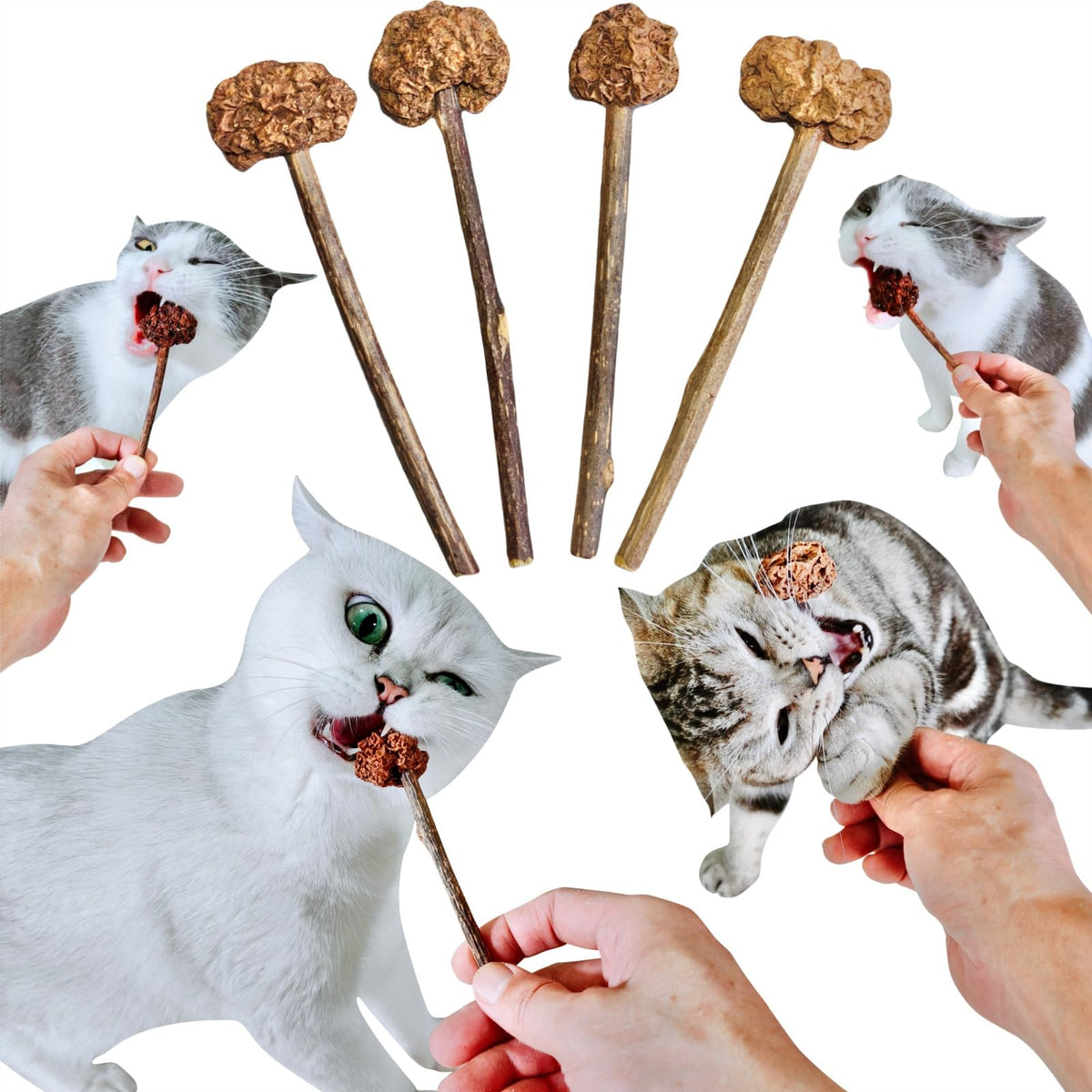 Miwoowim palito silvervine para gatos, estimula juego natural.