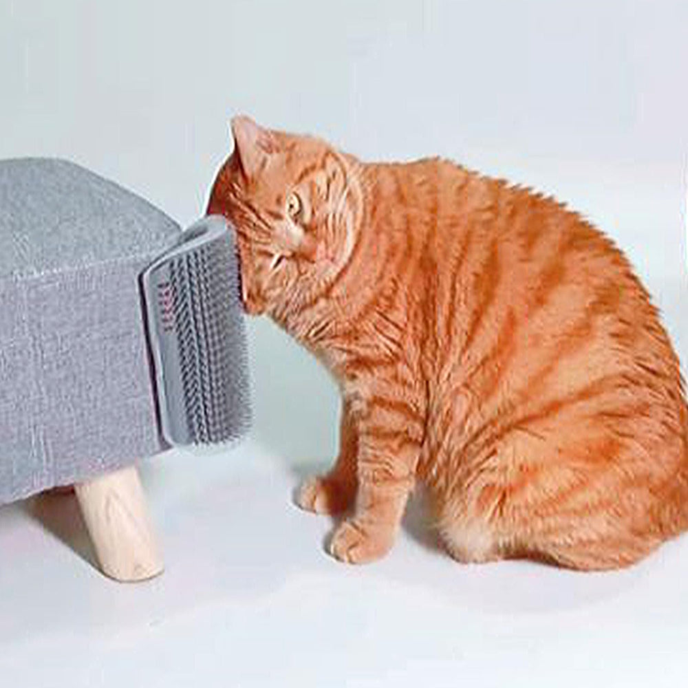 Miwoowim Paquete de dos cepillos para gatos en casa