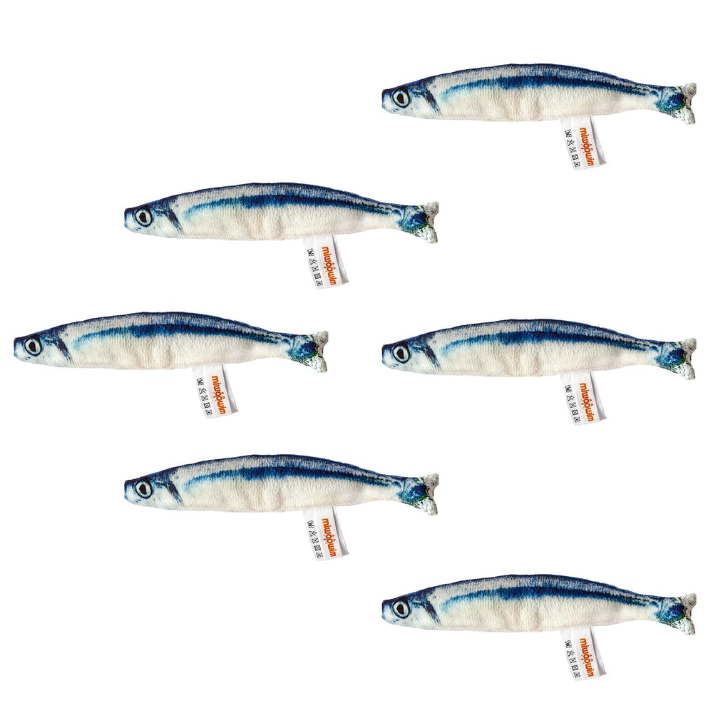 Miwoowim Saury ayuda a la dentición suave en gatitos.