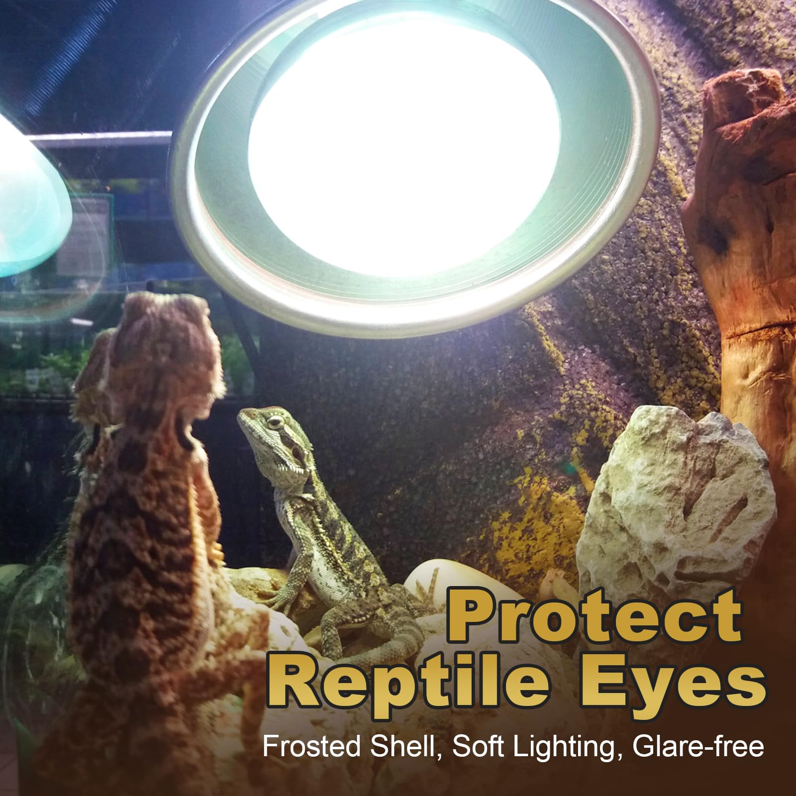 MIXJOY difusión de luz suave para terrarios reptiles