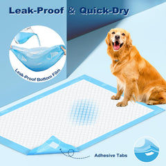 Base antideslizante y pestañas adhesivas para fijar en el suelo