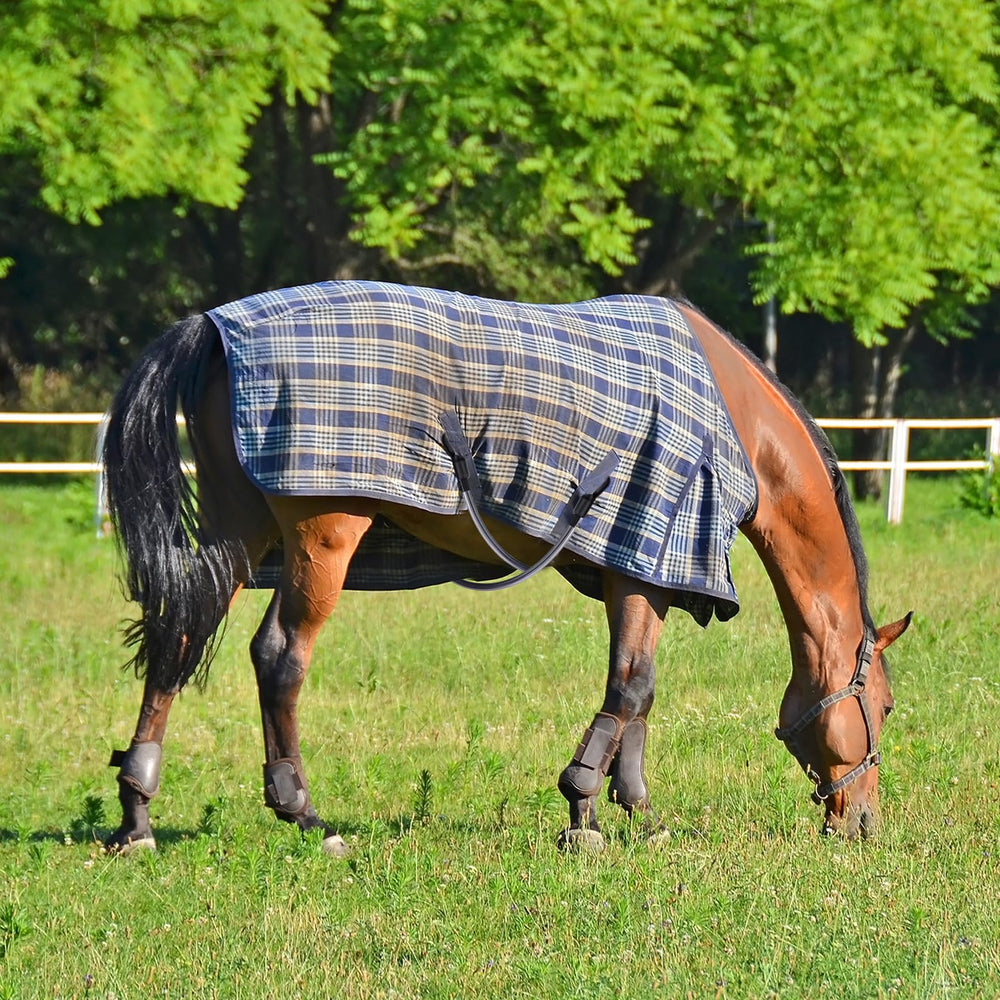 Mkhaslri diseño negro para manta de caballo, estilo y practicidad.