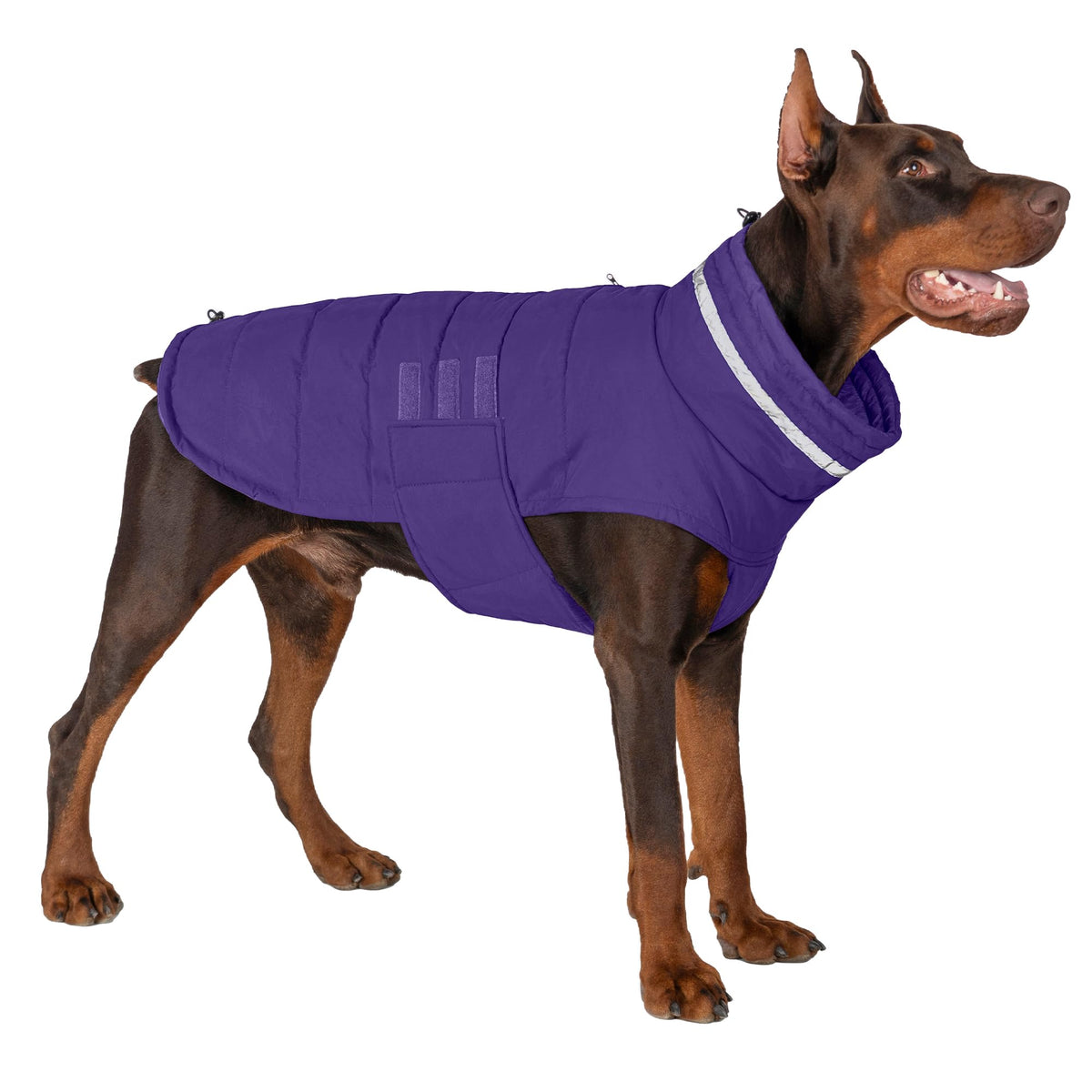Mklhgty abrigo impermeable para perros grandes protege de la lluvia