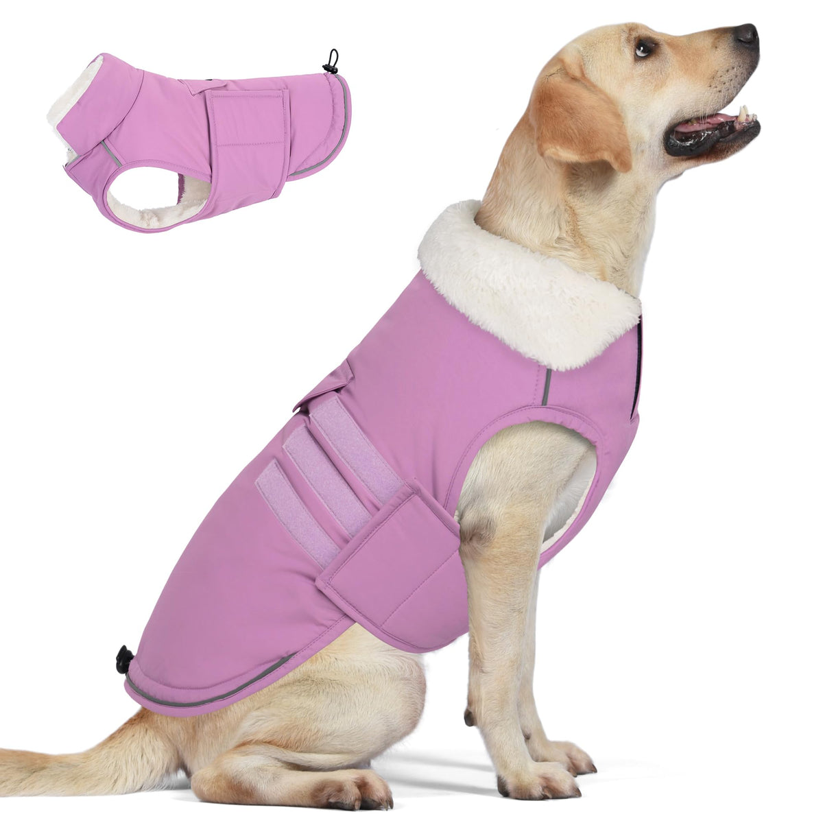 Chaleco para perro Mklhgty en lila, vista frontal, cómodo para paseos diarios.
