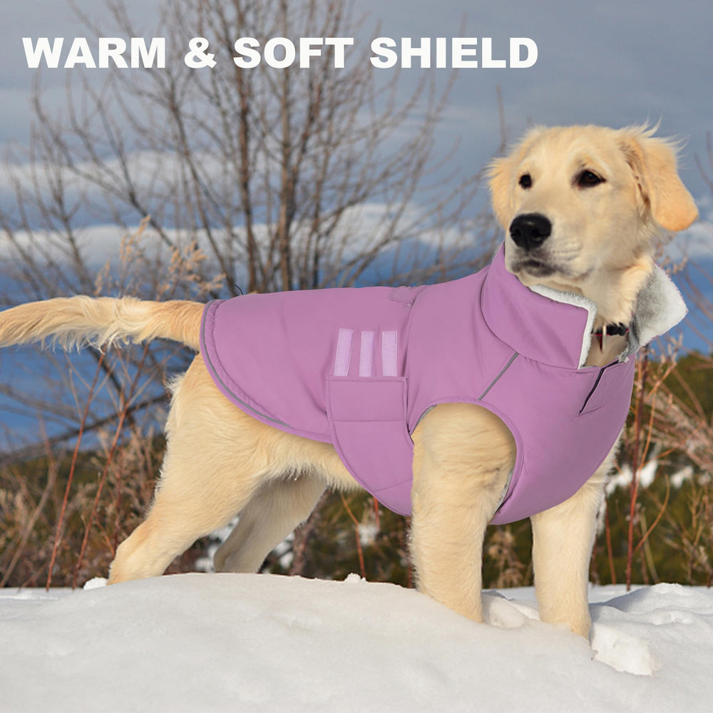 Chaleco Mklhgty disponible en tallas para perros grandes y pequeños.
