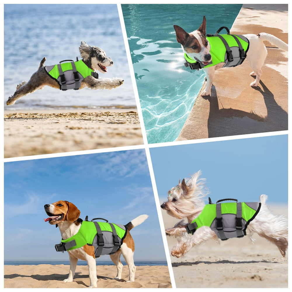 Diseño deportivo facilita actividades acuáticas con perros