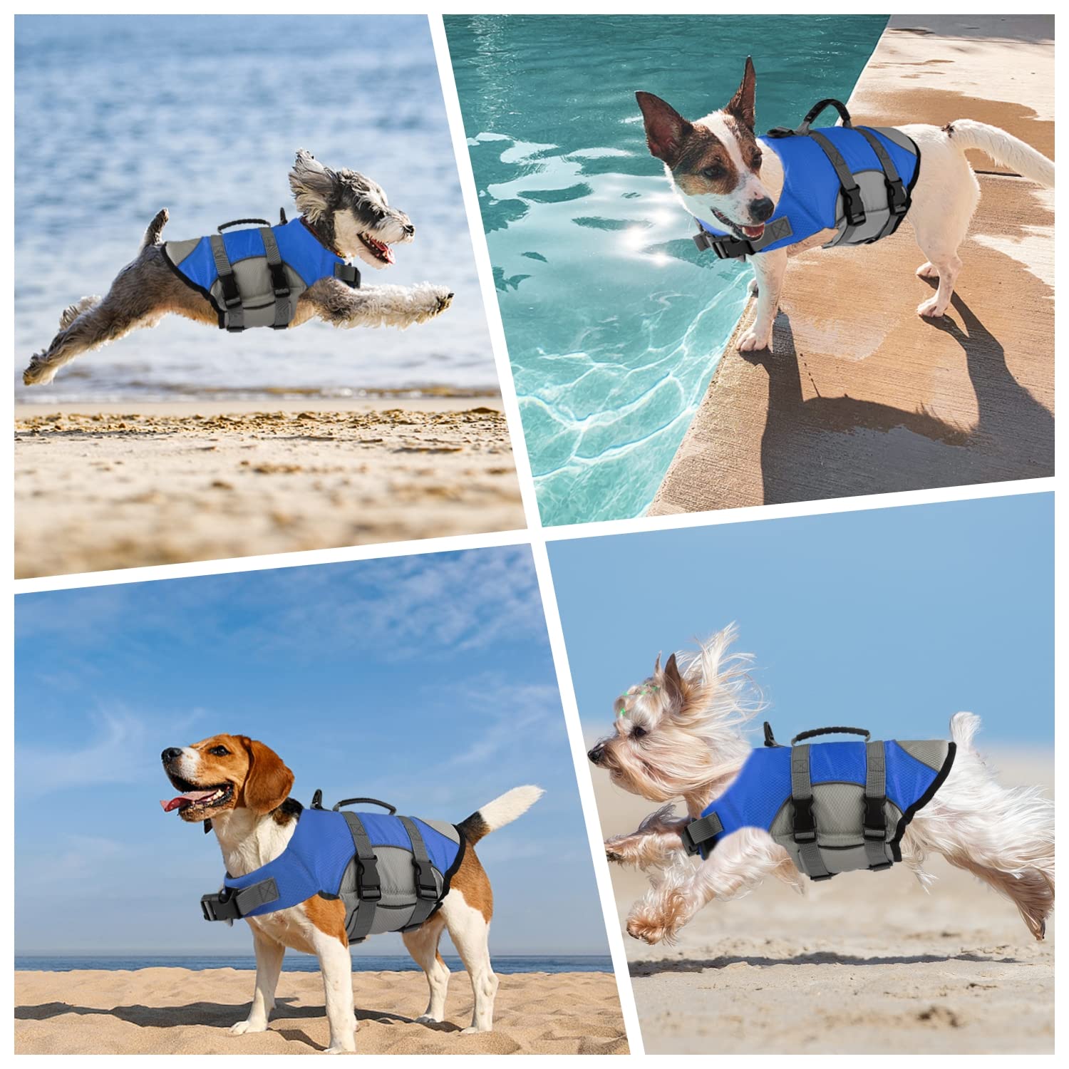 Perro con chaleco Mklhgty durante actividades acuáticas.