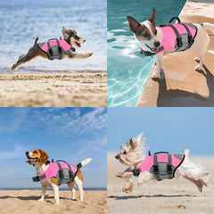Mklhgty chaleco con colores brillantes para localizar al perro.