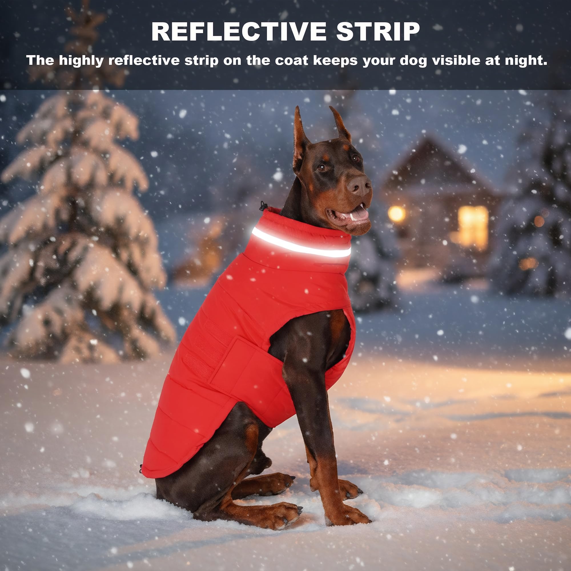 Mklhgty diseño elegante de abrigo para perro en uso diario