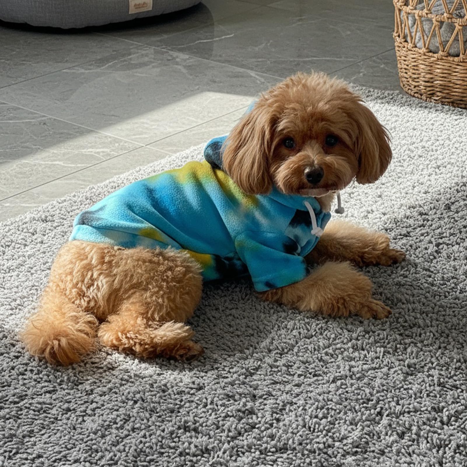 Mklhgty prenda diaria para perro pequeño, ideal para caminar y descansar.