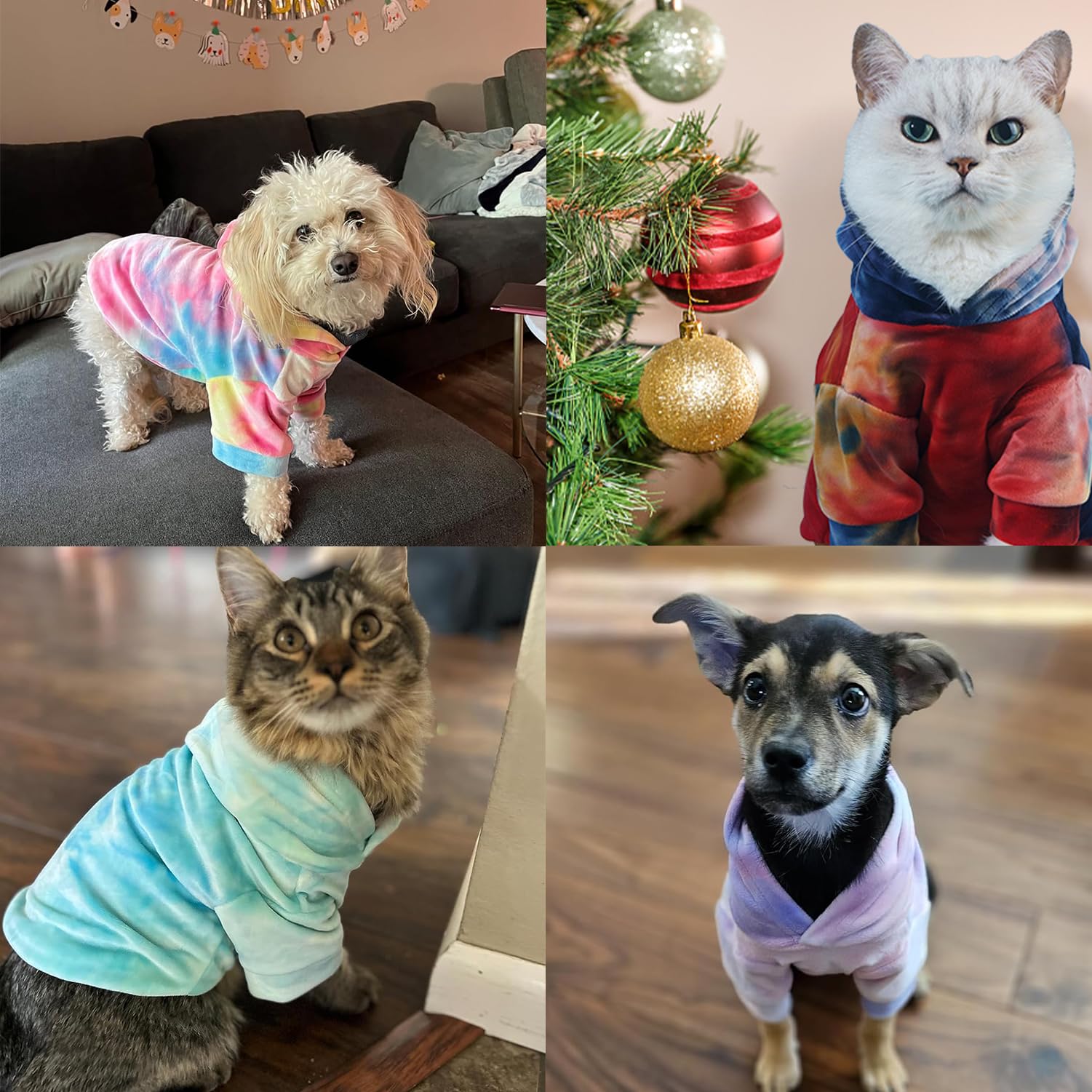 Mklhgty mascota usando sudadera capucha, combinación de estilo y practicidad para salidas.