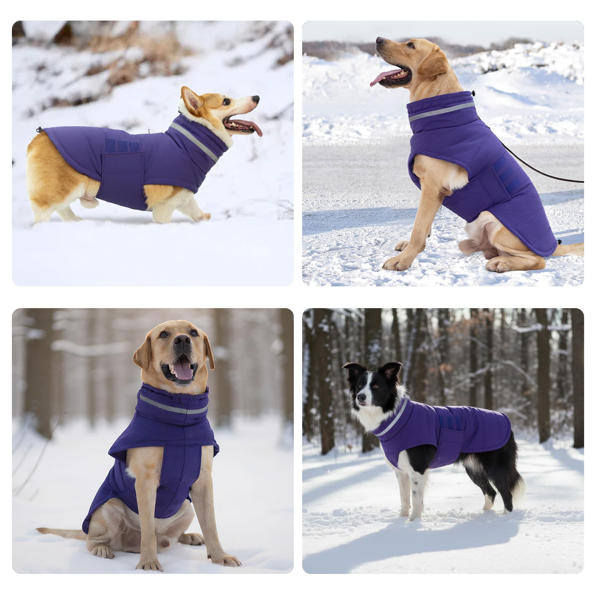 Mklhgty talla XL para perros grandes, ajuste seguro y cómodo