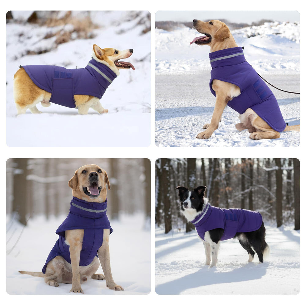 Mklhgty talla XL para perros grandes, ajuste seguro y cómodo
