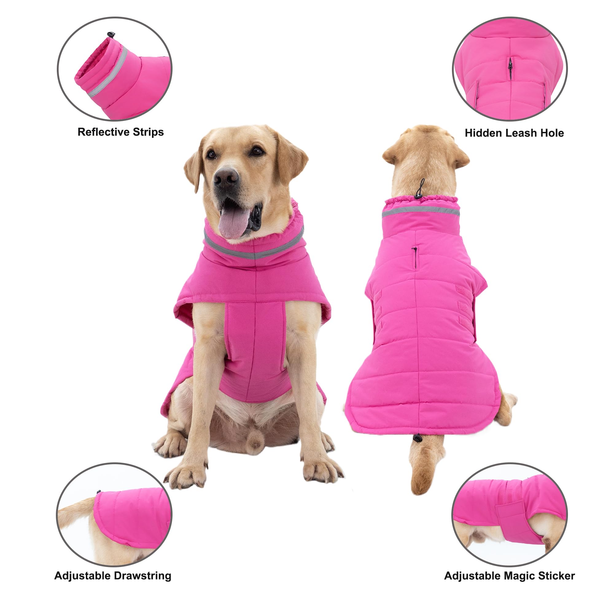 Mklhgty tejido impermeable mantiene al perro seco durante salidas lluviosas