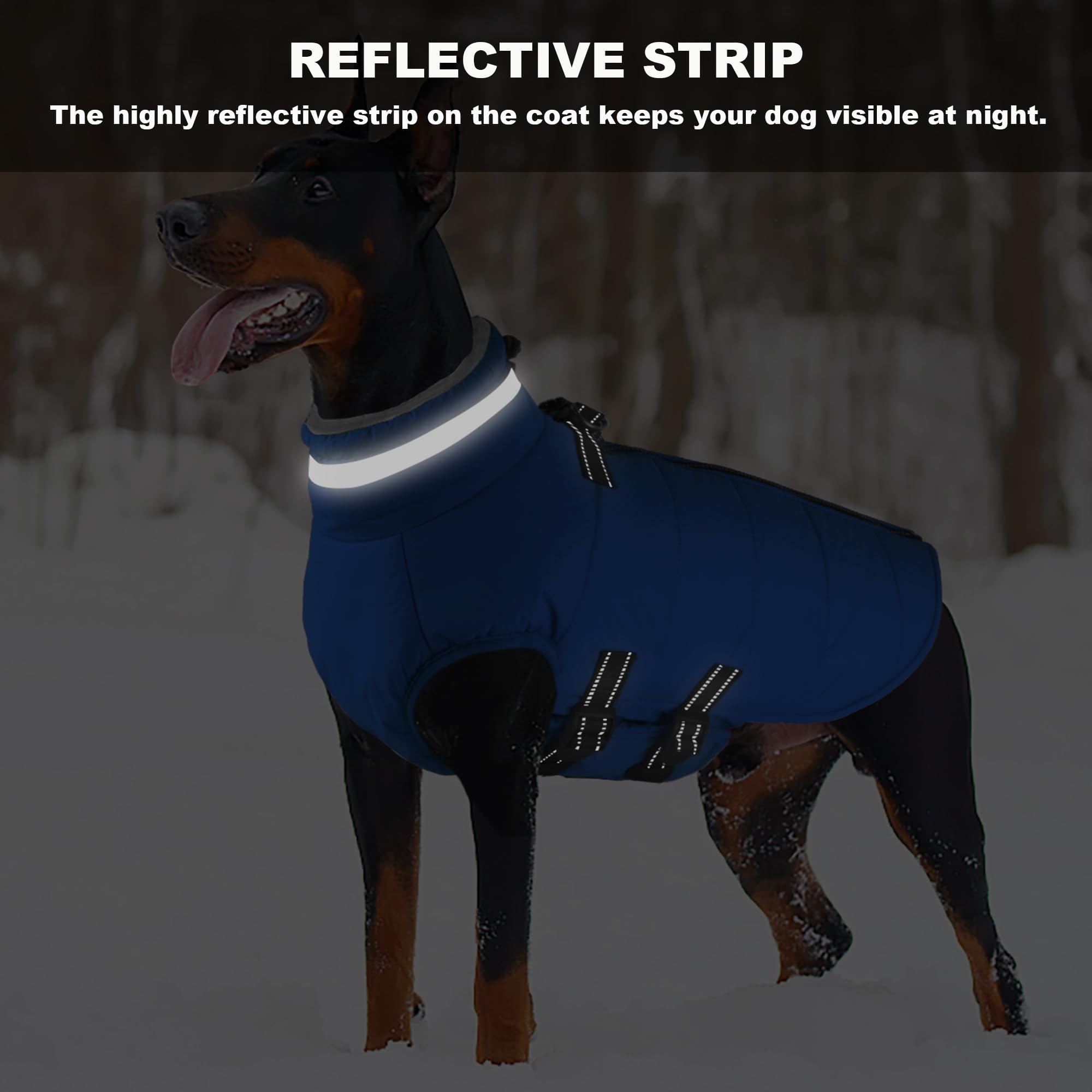 Mklhgty tejido resistente al agua mantiene al perro seco.