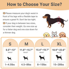 Mkono banda abdomen perro amarillo, absorbente y lavable para paseos