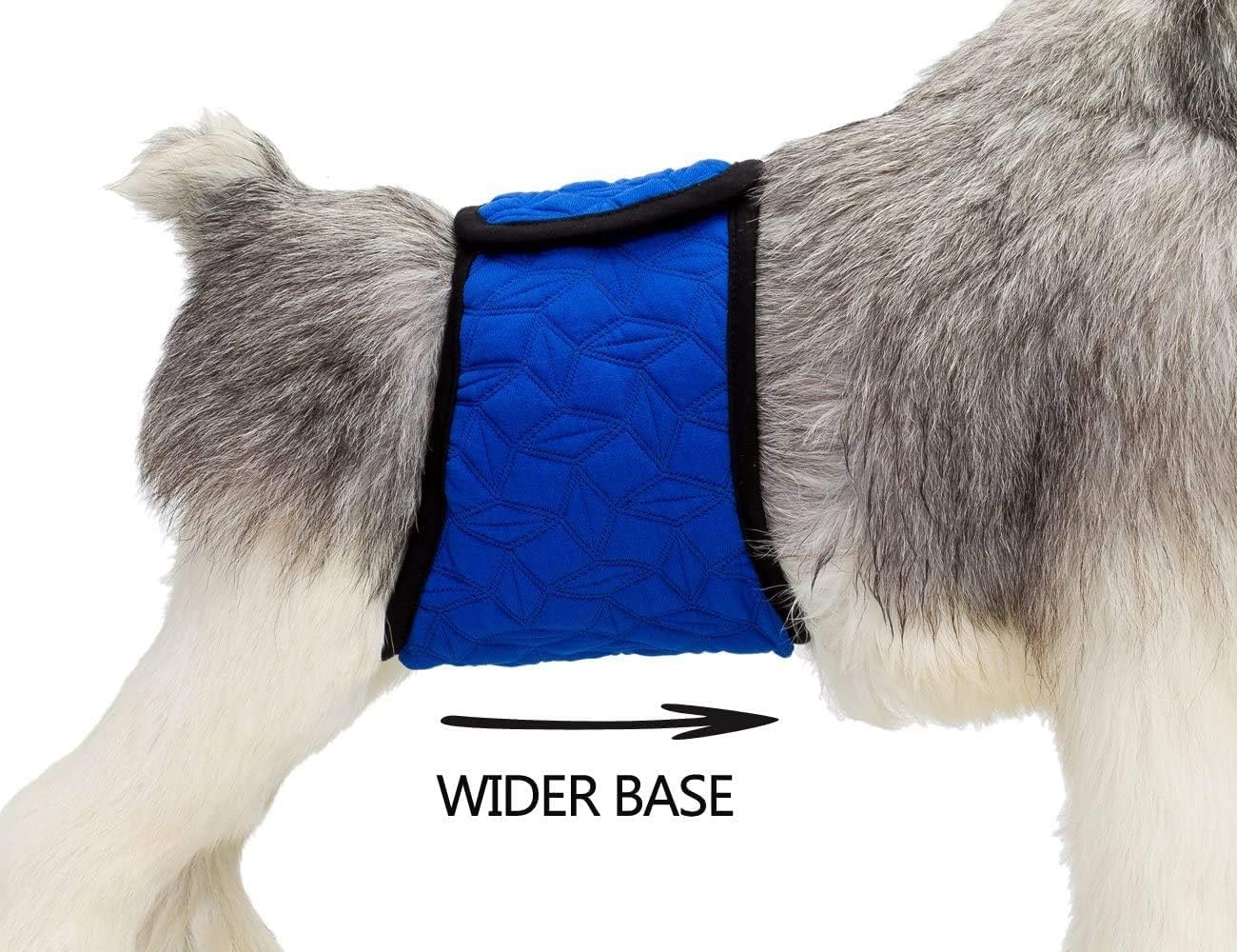 Mkono banda adecuada para perros pequeños y medianos.