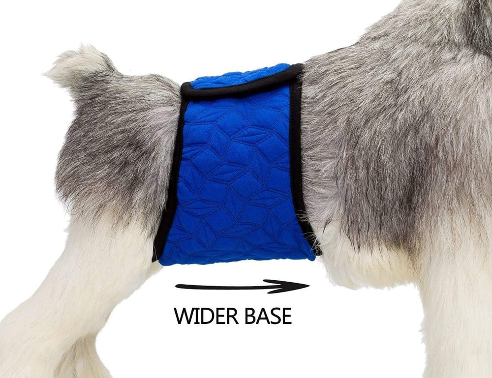 Mkono banda adecuada para perros pequeños y medianos.