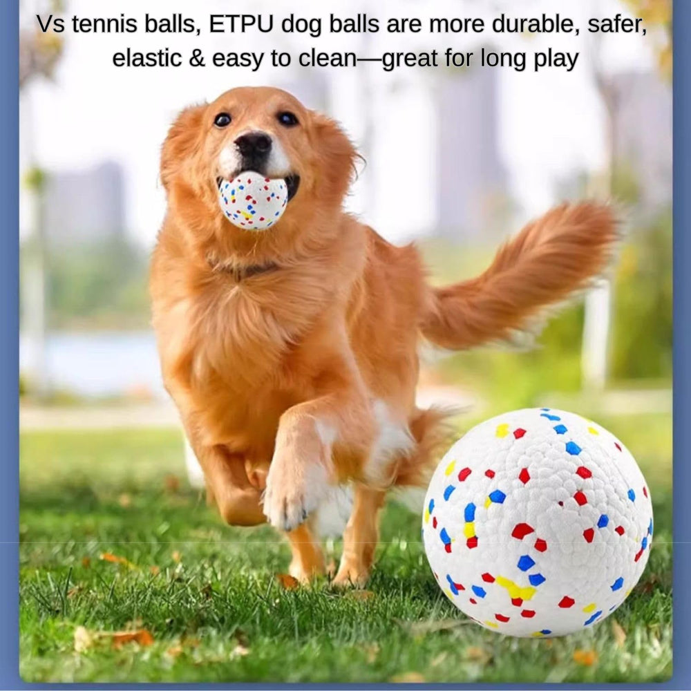 Juego interactivo para perros pequeños y medianos, fortaleciendo vínculo y salud.