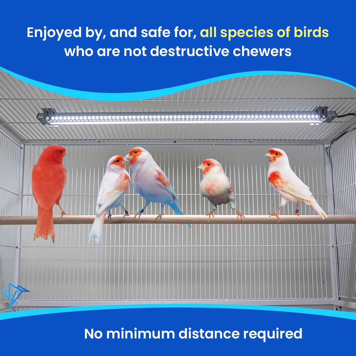 HappyBird iluminación suave y sin deslumbramiento para aves tranquilas