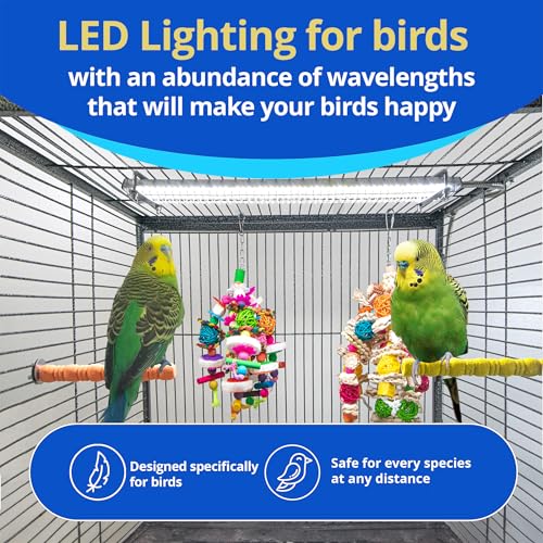 HappyBird se instala fácilmente en la jaula y está lista para usar.