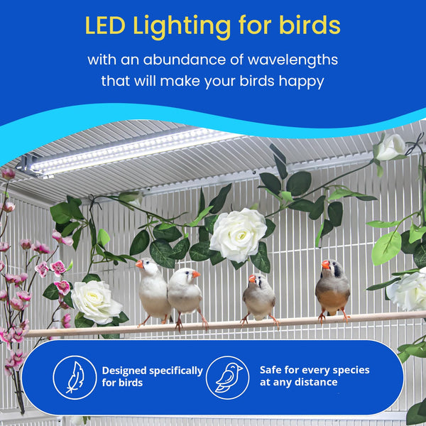 HappyBird ofrece luz de espectro completo sin UV para ojos sensibles