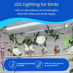 HappyBird ofrece luz de espectro completo sin UV para ojos sensibles