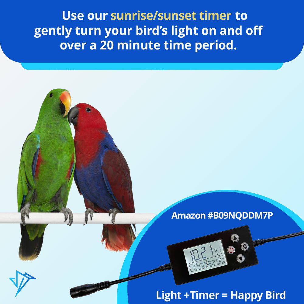 HappyBird segura alrededor de acuarios y terrarios.