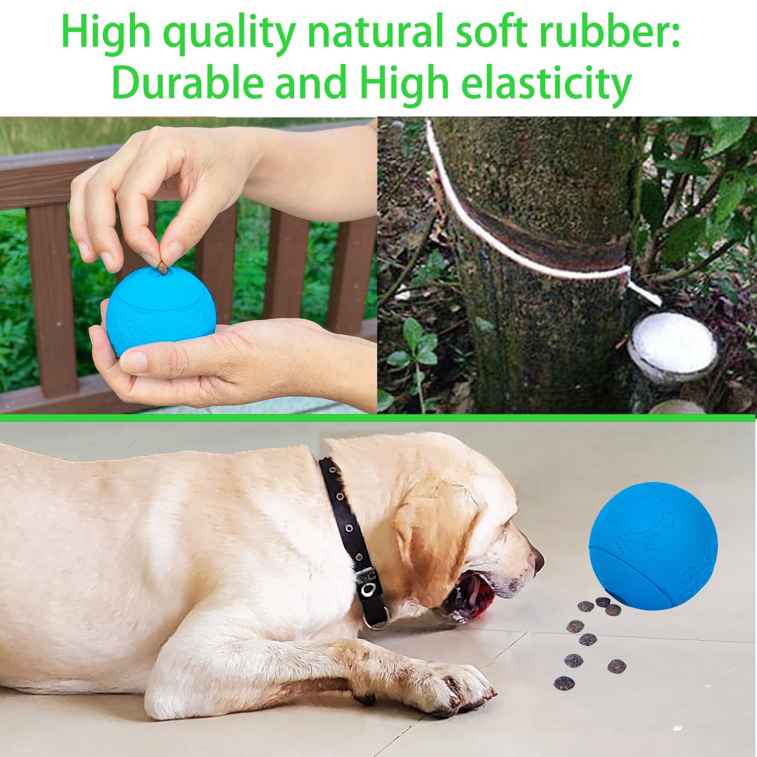 MMSGA juego interactivo para perros fomenta entrenamiento y vínculo