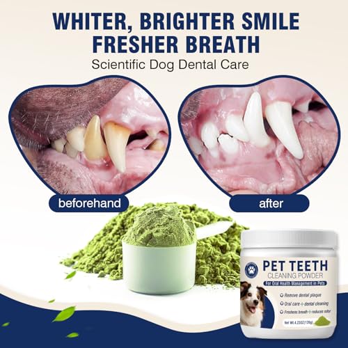 MNQAXZ Polvo dental mezclado con comida húmeda para limpieza diaria