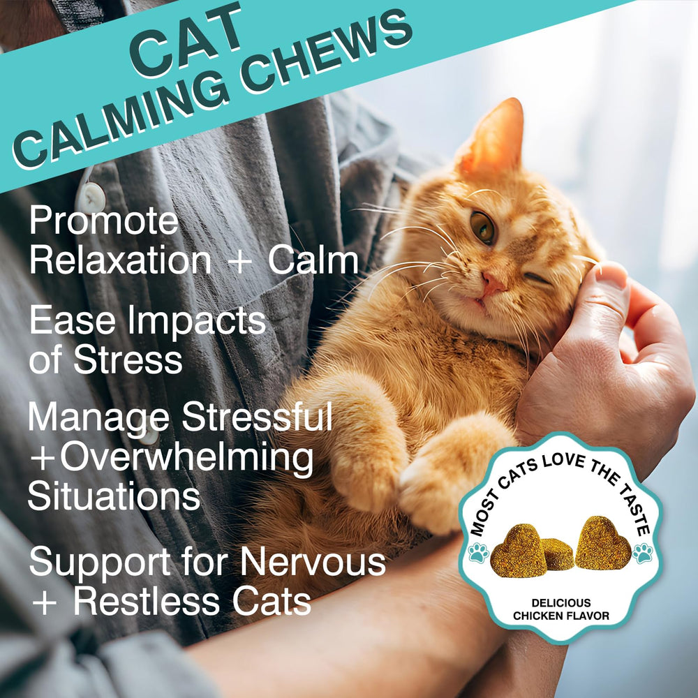 MNQAXZ masticables calma gatos en caja, dosis precisa para la convivencia.