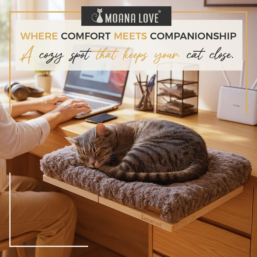 Moana Love cama-ventana-gatos-grande: ideal para gatos grandes y mayor comodidad.
