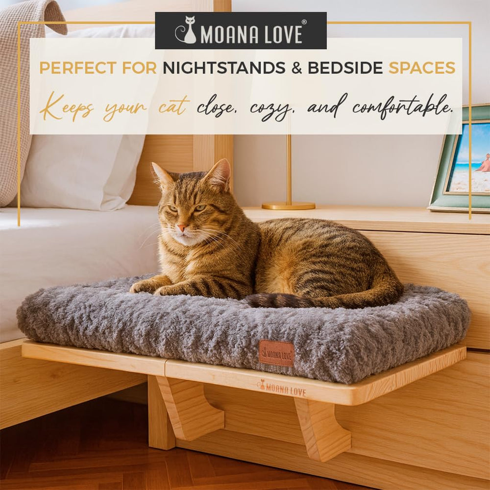 Moana Love lugar-relajacion-gatos: espacio estable para juego y descanso.