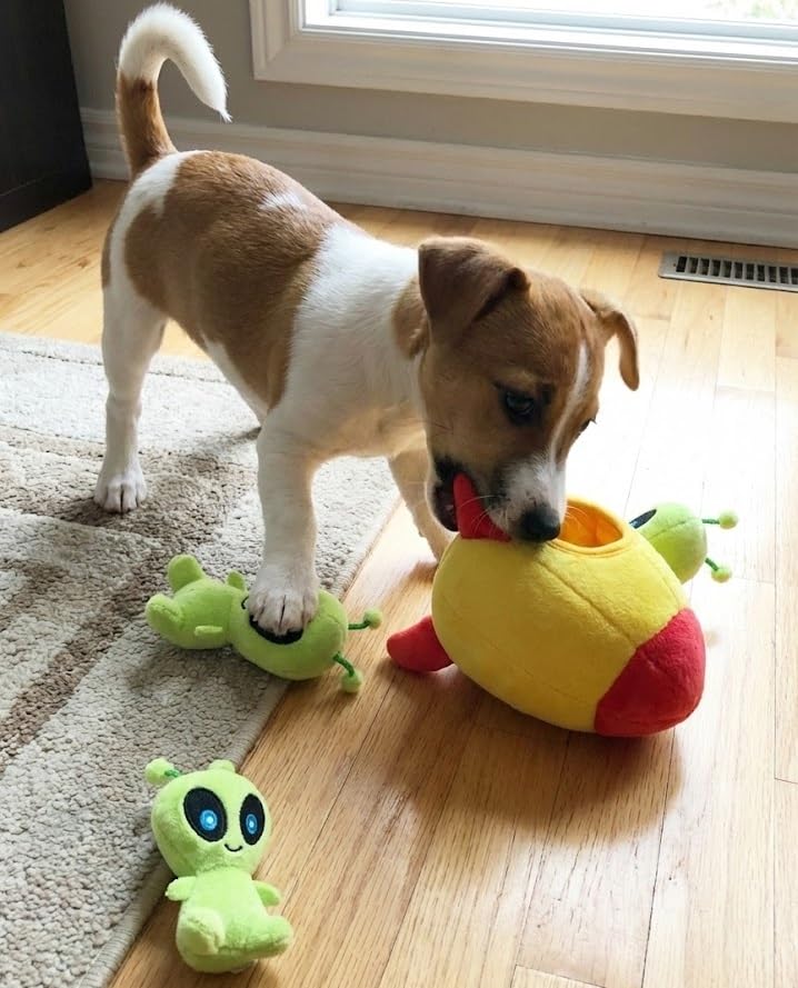 MODERN WAVE Juguete de tamano pequeno, adecuado para perros pequeños