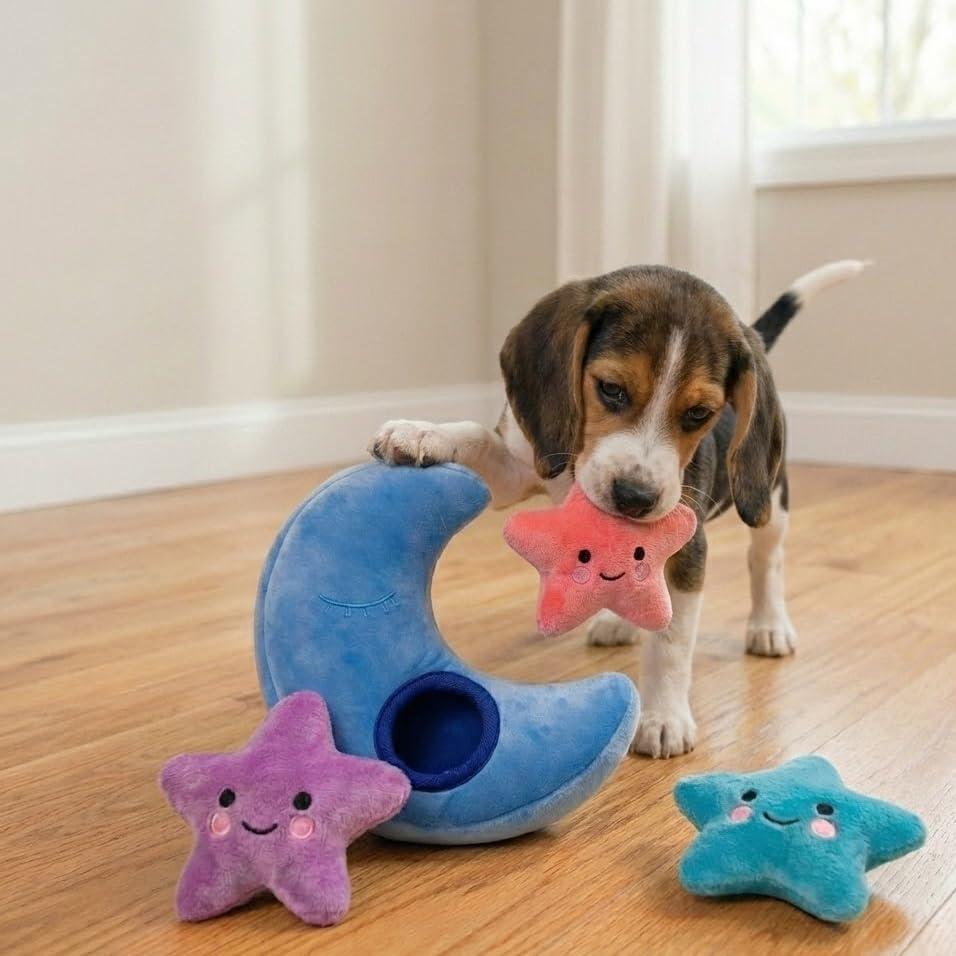 MODERN WAVE luna-estrellas ofrece variedad de juego para perros activos.