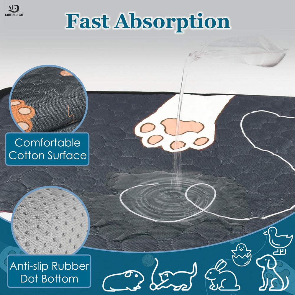 MODESLAB base-antideslizante-cobaya: base estable que no se desplaza.