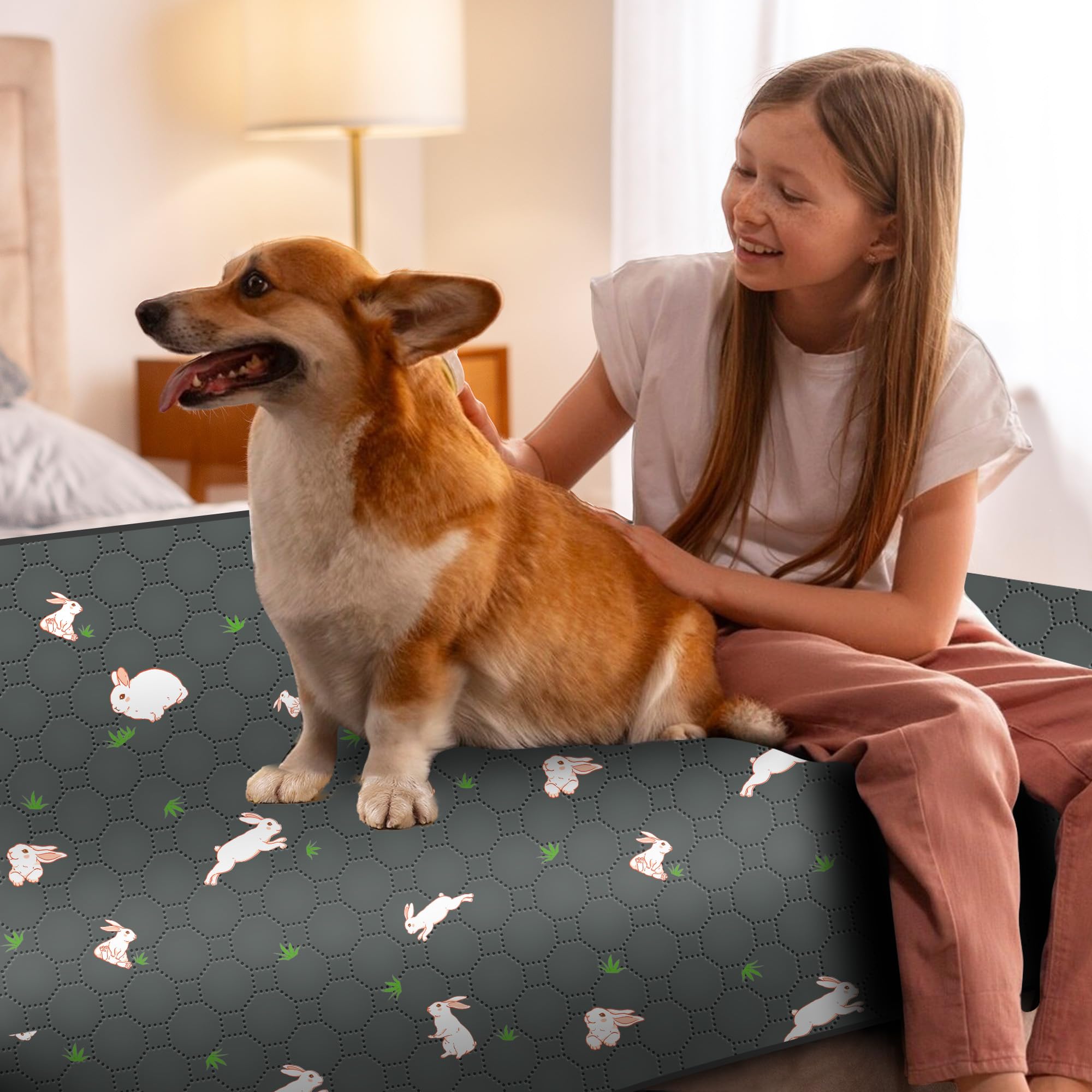 MODESLAB compatibilidad con mascotas pequeñas como conejos y hámsters.