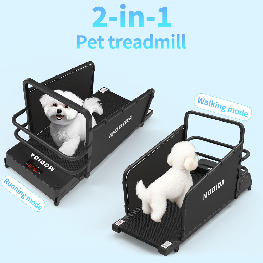 MODIDA Cinta para uso interior, ideal para entrenamiento diario en casa.