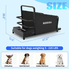 MODIDA Cinta para Perros con velocidades ajustables para entrenamiento personalizado.