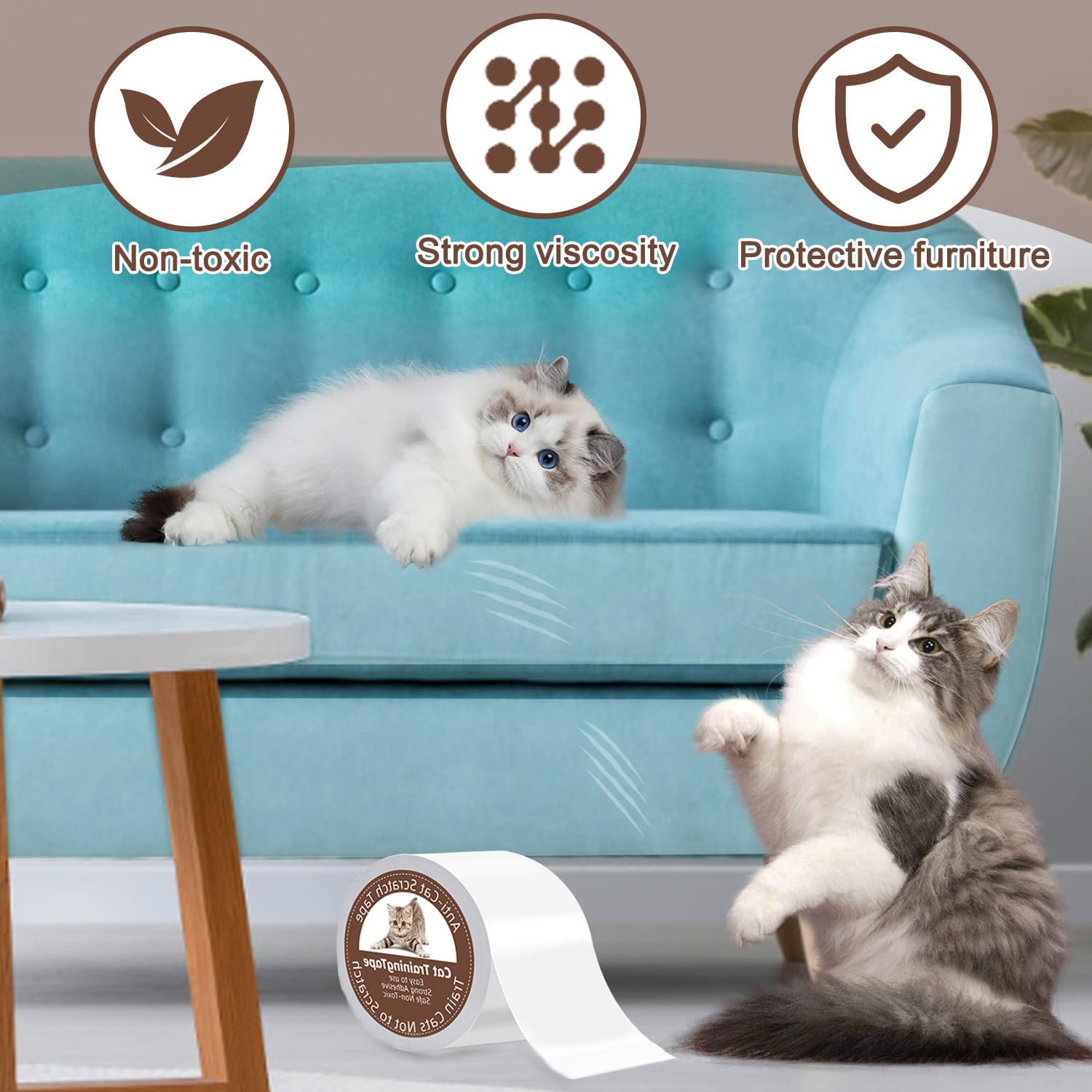 Un gato prueba la adhesión de MODIIGTY para protección del mobiliario.