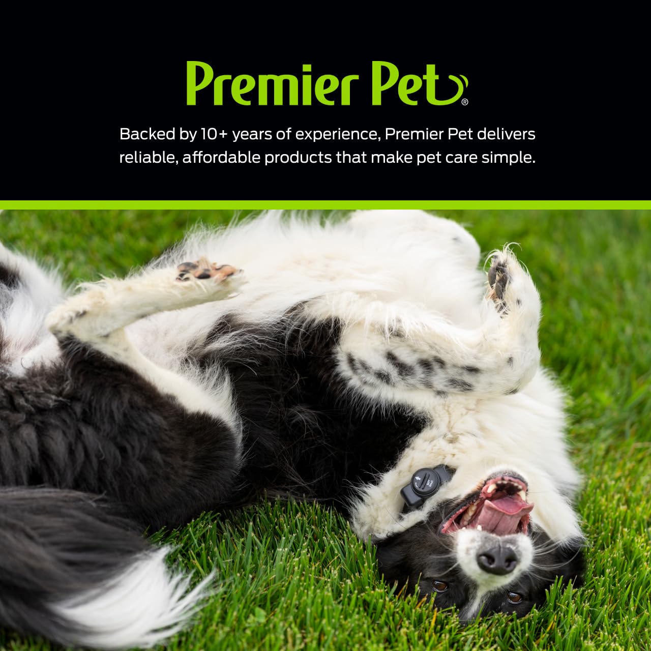 Modo tono y cuatro niveles estáticos para entrenamiento con Premier Pet